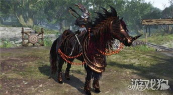 《无双大蛇3》DLC新装：甲斐姬关银屏华丽变身！