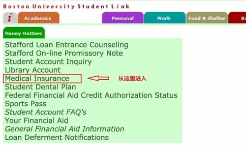 《燕云十六声》王大演结交攻略：高效提升好感度秘籍