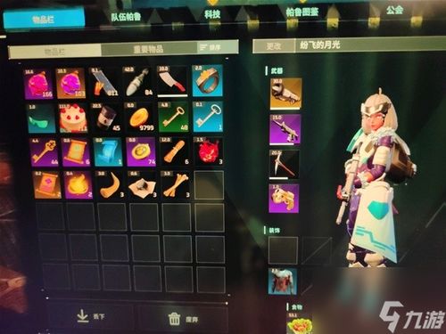 《幻兽帕鲁》天坠之地播种秘籍，解锁高效种植新技能