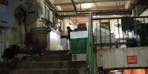 SE新工作室转型3A巨作，巨额投入3300万铸就辉煌新篇章