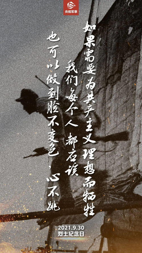 粉丝致敬：永垂不朽英雄的传奇碑铭