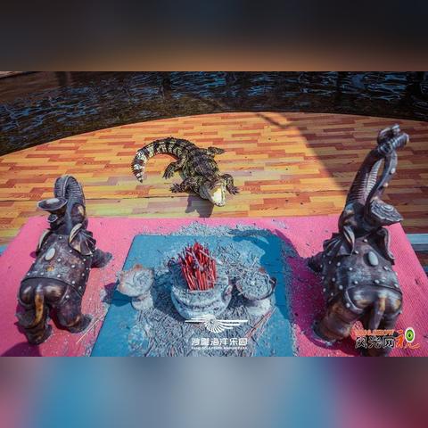 《夺宝奇兵》古老之圈：技能书攻略秘籍大揭秘