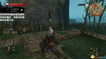 《巫师3》支线攻略：深度解析驼背沼泽任务攻略秘籍