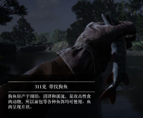 《荒野大镖客2》钓鱼秘籍：全鱼类攻略与热门钓点揭秘！