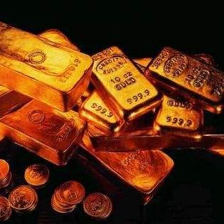 荒野寻宝记：揭秘马匹获取新秘境