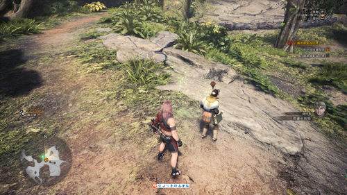 《怪物猎人世界》全攻略：主线剧情+BOSS打法详解