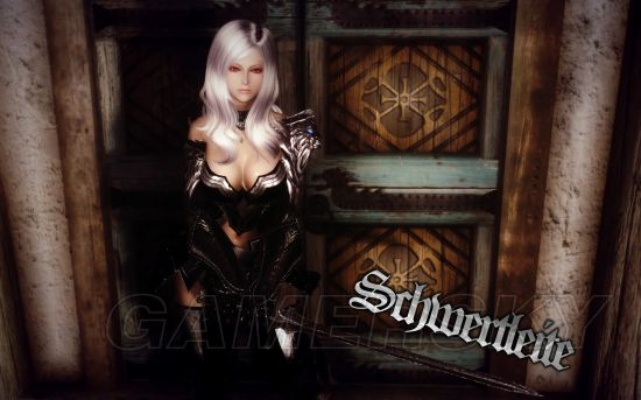 上古卷轴5MOD服装美化精华集免费下载，打造个性游戏体验