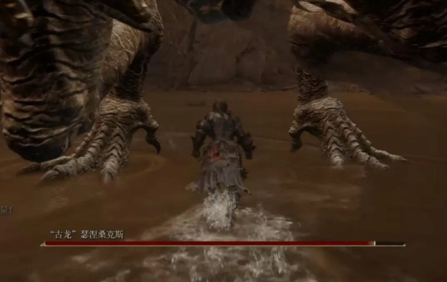 艾尔登法环古龙瑟涅桑克斯攻略：高效打法解析新技巧