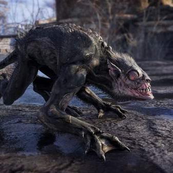 《地铁：逃离》Steam国区售价揭晓，中文支持引热议