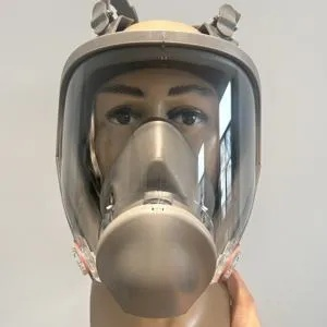 气溶胶防护面具获取攻略：揭秘高效防毒装备新选择