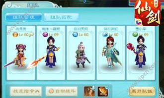 大熊探测器攻略：揭秘高效获取方法与独特价值