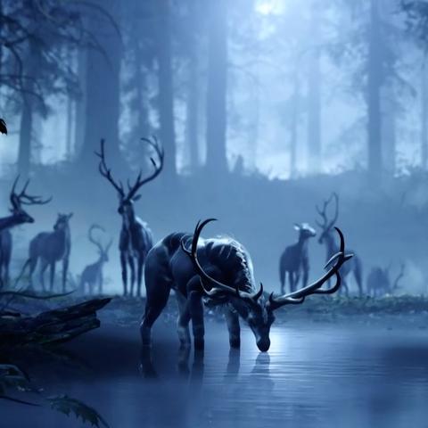 《光环：无限》革新升级，SkyBox Labs携手打造全新体验