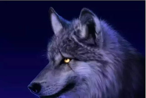 《隻狼》制作人深度解析：非线性叙事与想象力共鸣