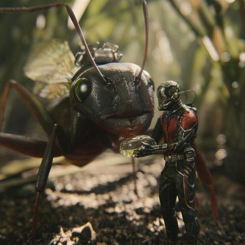 《勇者斗恶龙3》魔物宝库攻略大全，深度解析新玩法