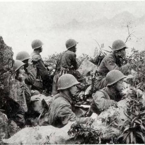 绝区零星见雅：神秘特工，绝地重生，智慧闪耀