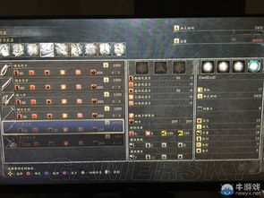 血源全武器攻略：升级属性详解+特殊攻击能力优化