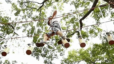 步步惊心！八大陷阱冒险之旅，揭秘生存智慧新篇章