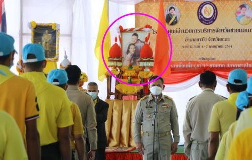 苔丝生日惊喜大揭秘：尘白禁区独家庆生图赏