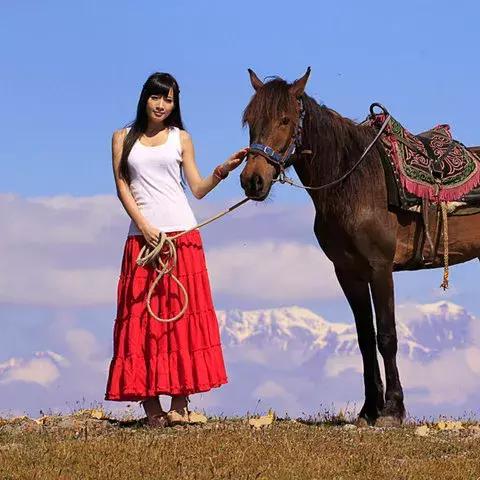 《野狗子》深度攻略：全探索记忆碎片奇才收集秘籍大揭秘