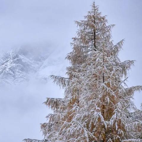 全域事件再延长！《全境封锁》黑暗降临活动价值升级