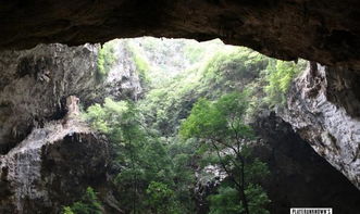 泰国实景绝地求生洞穴探险，揭秘神秘新玩法！