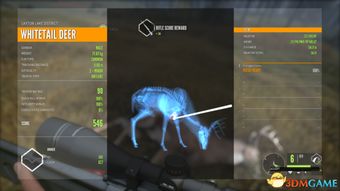 荒野猎手秘技：集中弱点一击必杀攻略