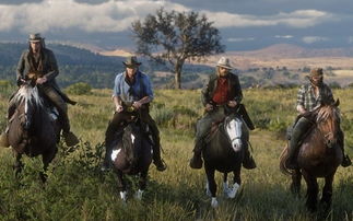 荒野大镖客1帮派藏身秘境全解析，大表哥8派藏身处一网打尽