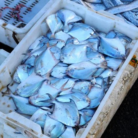 《贼海》实景预告：探秘深海宝藏，全新发行大揭秘