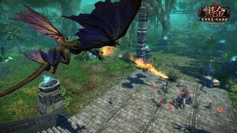 螃蟹龙虾巅峰对决，揭秘新格斗之王诞生记