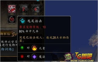 《暗喻幻想》全锤矛攻略：高效获取方法揭秘