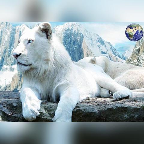 《生化变种》前瞻：升级攻略，解锁病态战斗新境界