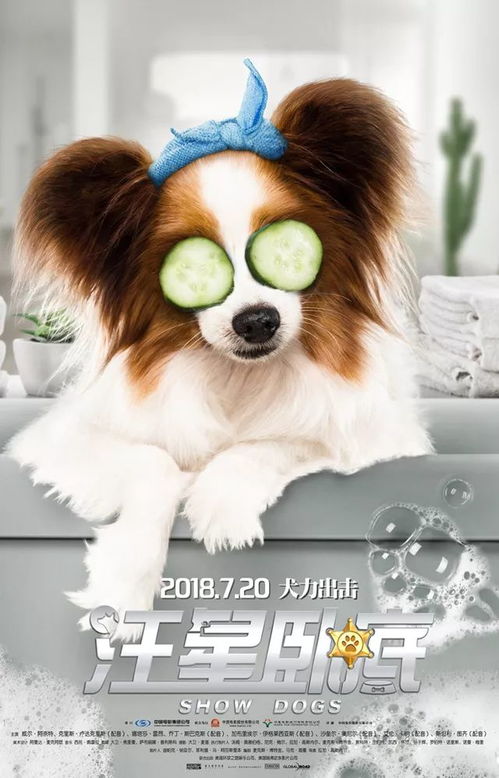 萌犬智勇双全，孤岛奇缘卖萌达人