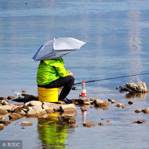 《要战便战》实战攻略：新手必看高效技巧解析