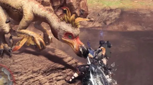 搔鸟新发现：偷蛋怪猎奇遇记