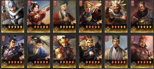 三国风云再起：赵云票选第三，欧美玩家心中的无双英雄新标杆