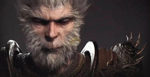 《黑神话悟空》全珍玩实力解析，深度揭秘新价值排行