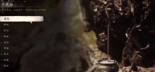 《黑神话悟空》泡酒物攻略：解锁全收集秘籍大揭秘