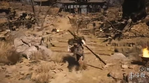 《黑神话悟空》全泡酒物种子速收攻略，高效收集新技巧揭秘