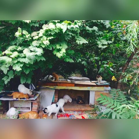 《极限竞速7》评测9.4分，飞驰少年再创速度传奇