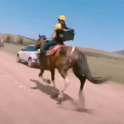 《GTAOL》披萨速递攻略：高效赚钱新技巧揭秘