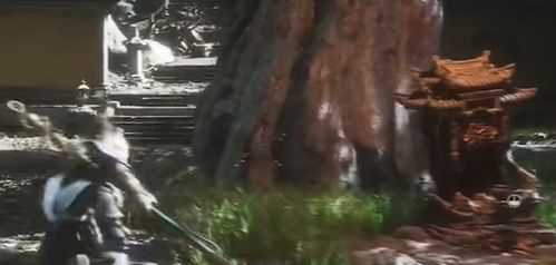 《黑神话悟空》黄花观全收集攻略，深度解析新视角揭秘