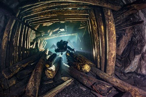 黑色幽默探秘，达奇威尔城堡惊悚新篇章