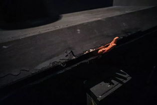 洛城黑暗探秘：VR沉浸式解密之旅