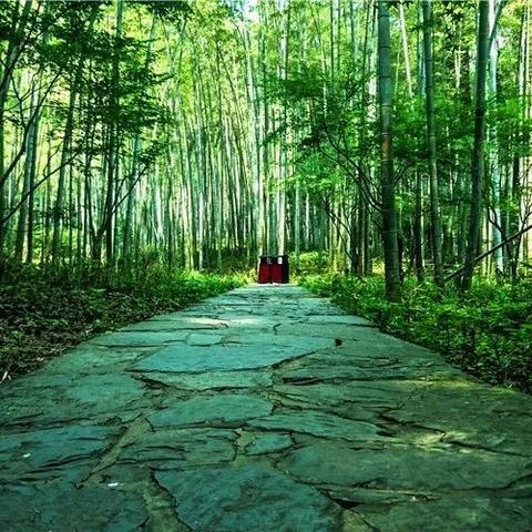 《鸣潮》月华如愿活动深度解析：解锁全新游戏价值体验