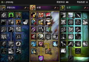 《魔兽世界》11.0前夕射击猎秘境攻略：专精加点技巧深度解析