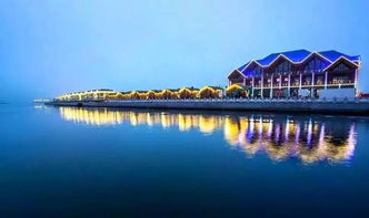 心动小镇黄头辉亭鸟现身攻略揭秘