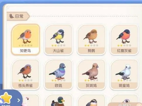 燕鸥栖息点揭秘：心动小镇探秘之旅