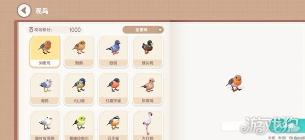 心动小镇锡嘴雀藏匿秘境，探秘新发现！