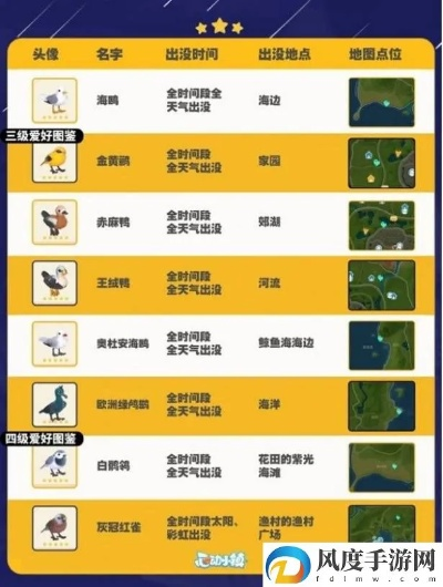 奥杜安海鸥现身揭秘，心动小镇探秘新亮点