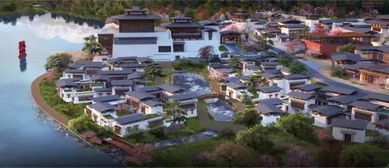 心动小镇探秘：文须雀栖息地大揭秘